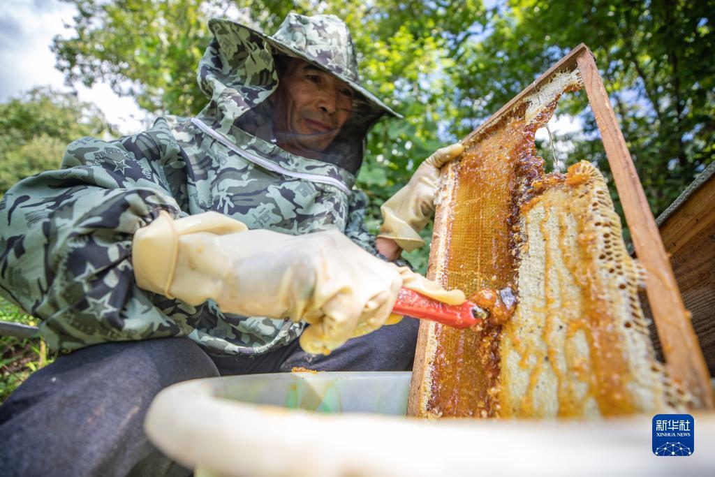 金沙ask网站